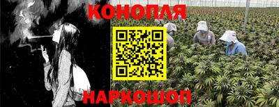 СК Краснодар