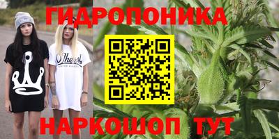 СК Краснодар