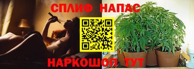 гидра Краснознаменск