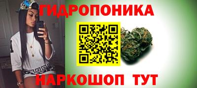 гидра Краснознаменск