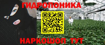 СК Краснодар