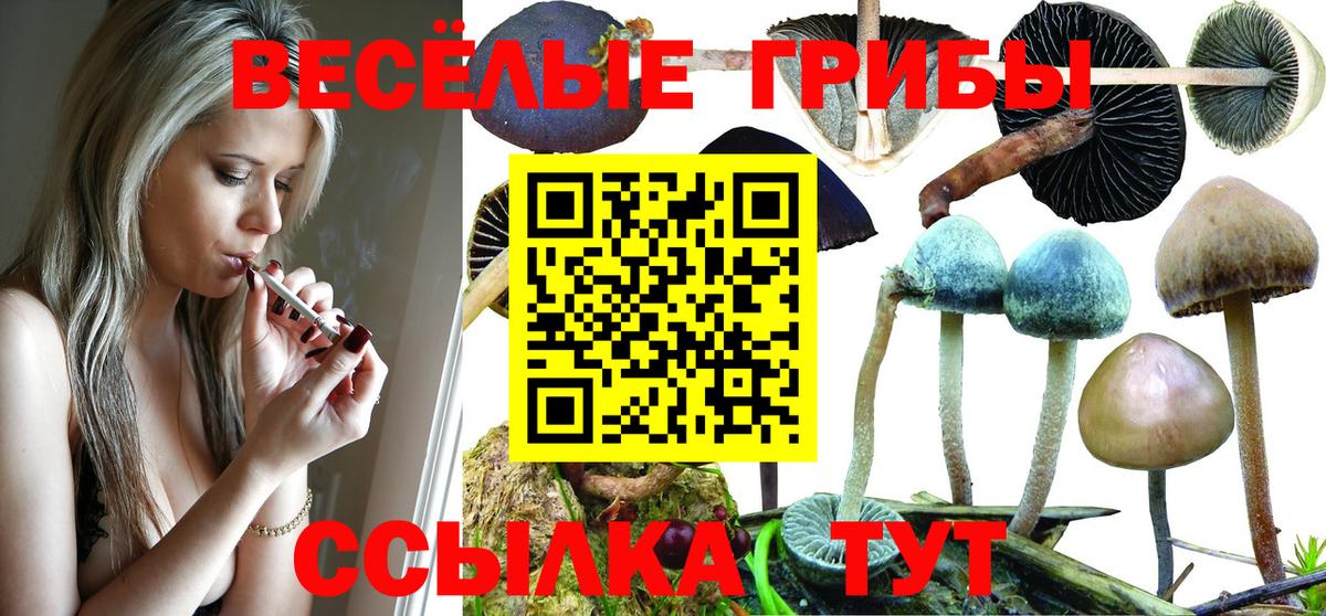 Псилоцибиновые грибы Magic Shrooms  Вход с VPN  Татарск 