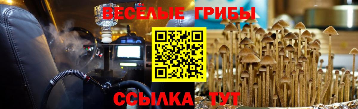Галлюциногенные грибы прущие грибы Татарск